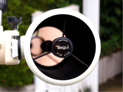 Teegul-02.jpg