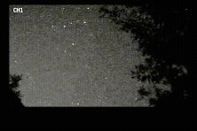 Adobe Express 2025-08-16 3.04.39.gif