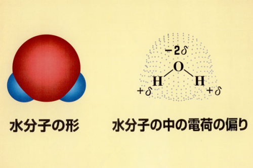 無題2.png