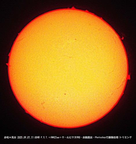 DSCN4491-12.jpg