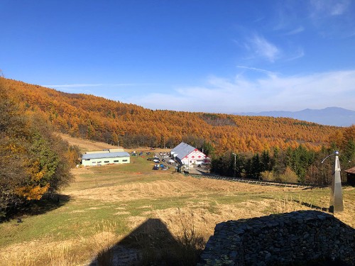 紅葉がきれいでした！