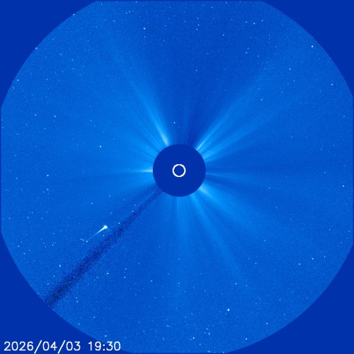 ⑤2026年4月3日19時30分