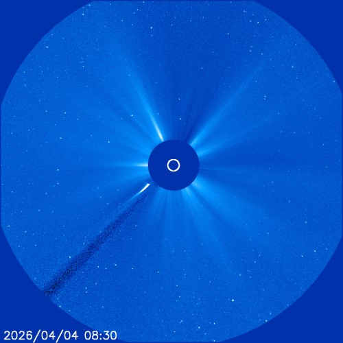 ⑦2026年4月4日8時30分