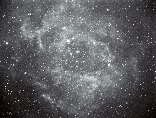 ROSE    R1   120SEC.jpg